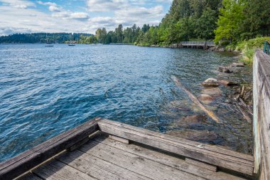 Renton, Washington 'daki Gene Coulon Park' taki kıyı şeridi manzarası.