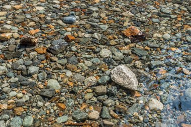 Kayalar Denny Creek Washington eyaletinde, temiz su altında görülebilir.