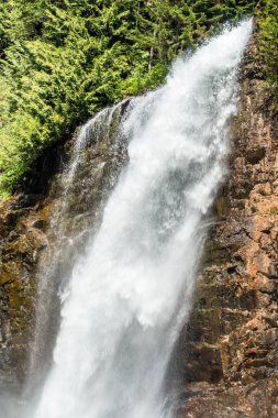 Bir manzarasını Washington eyaletinde Franklin Falls.