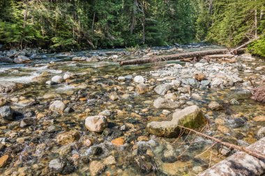 Denny Creek Washington eyaletinde manzara fotoğrafını. Kayalar ve günlükleri görülebilir.
