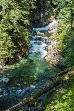 Denny Creek Washington eyaletinde bir görünümünü.