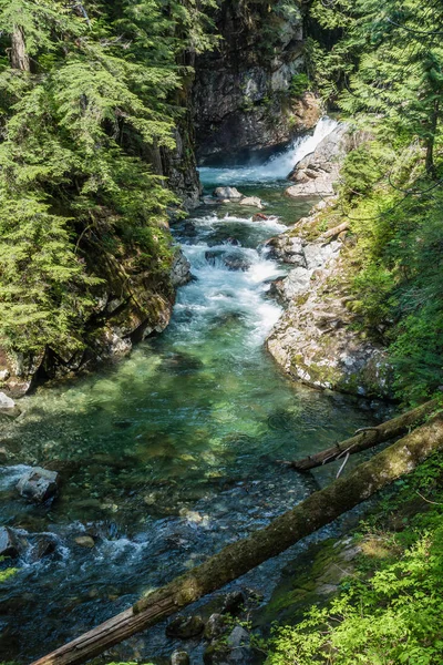Denny Creek Washington eyaletinde bir görünümünü.