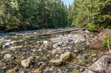 Denny Creek Washington eyaletinde manzara fotoğrafını. Kayalar ve günlükleri görülebilir.