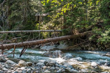 Washington eyaletinde Denny Creek boyunca çevredeki orman bir kabin karıştığı.