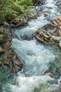 Washington eyaletinde Denny Creek boyunca temiz su atılıyor.