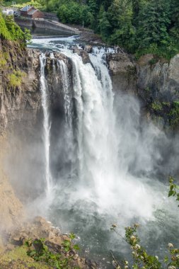 Gibi aşağı Snoqualmie Falls basamaklandırır sis yükselir.