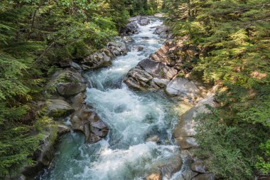Washington eyaletinde Denny Creek boyunca temiz su atılıyor.