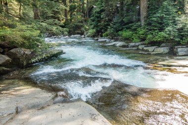 Washington eyaletinde Denny Creek boyunca temiz su atılıyor.