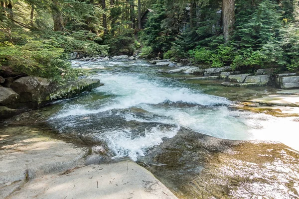 Washington eyaletinde Denny Creek boyunca temiz su atılıyor.