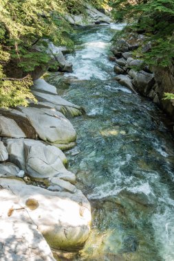 Washington eyaletinde Denny Creek boyunca temiz su atılıyor.