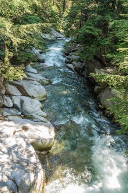 Washington eyaletinde Denny Creek boyunca temiz su atılıyor.