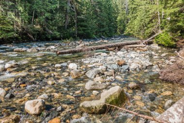 Denny Creek Washington eyaletinde manzara fotoğrafını. Kayalar ve günlükleri görülebilir.