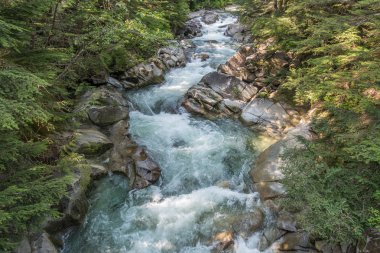 Washington eyaletinde Denny Creek boyunca temiz su atılıyor.