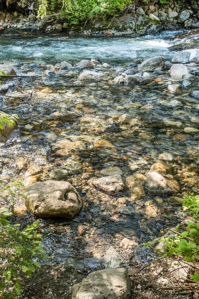 Klares Wasser Zeigt Felsige Untiefen Denny Creek Washington State — Stockfoto