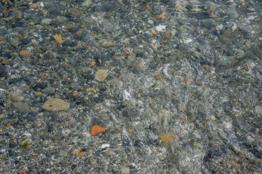 Deniz altındaki temiz su ile görülebilir. Arka plan vurdu.