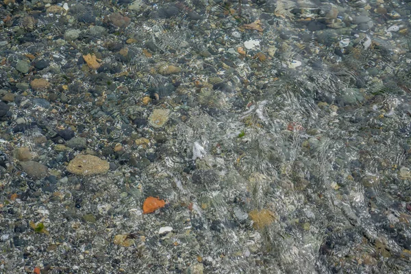 Морське Дно Можна Побачити Через Чисту Воду Фоновий Знімок — стокове фото