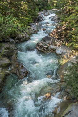 Washington eyaletinde Denny Creek boyunca temiz su atılıyor.