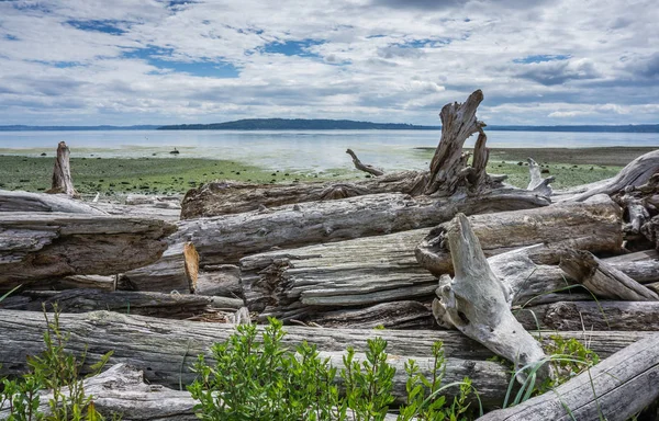 Uma Foto Paisagem Puget Sound Maré Baixa — Fotografia de Stock