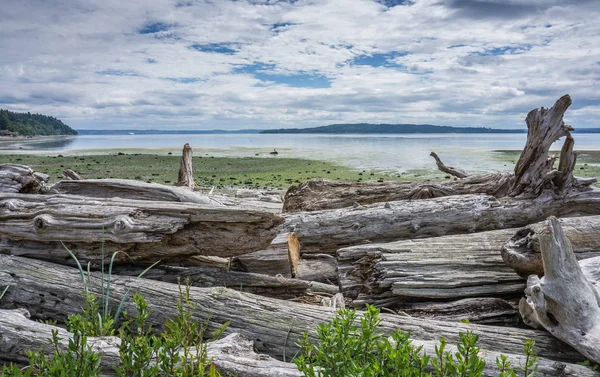 Uma Foto Paisagem Puget Sound Maré Baixa — Fotografia de Stock