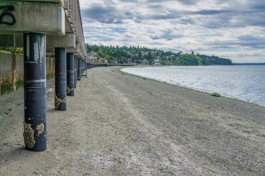 Redondo Beach, Washington boardwalk altında bir görünüm. Gelgit düşüktür.
