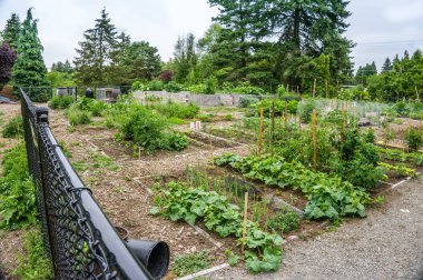 Bir topluluk Bahçe Seatac, Washington'da bir görünümünü.