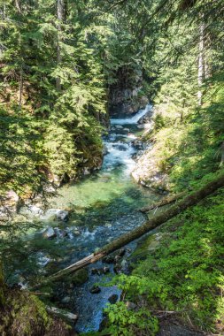 Denny Creek Washington eyaletinde bir görünümünü.