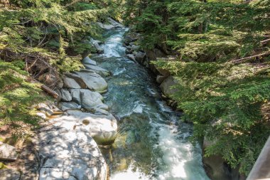 Washington eyaletinde Denny Creek boyunca temiz su atılıyor.