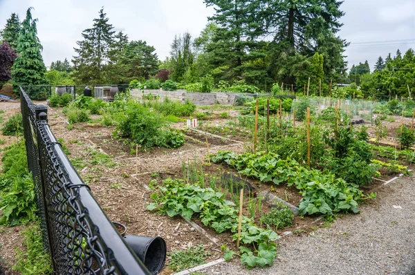 Bir topluluk Bahçe Seatac, Washington'da bir görünümünü.