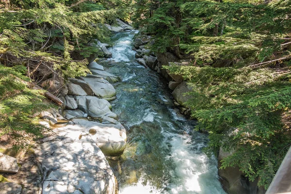 Washington eyaletinde Denny Creek boyunca temiz su atılıyor.