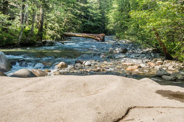 Washington eyaletinde Denny Creek boyunca temiz su atılıyor.