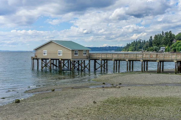 Rodondo Beach, Washington iskelede bir veiw. Gelgit düşüktür.
