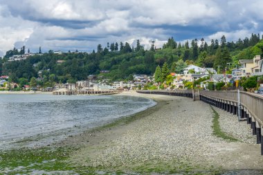 Redondo Beach, Washington kıyısındaki bir görünüm.