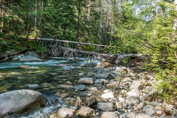 Clear water flows in Denny Creek in Washington State.