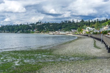 Redondo Beach, Washington kıyısındaki bir görünüm.
