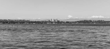 Bellevue, Washington 'un ufuk çizgisi.