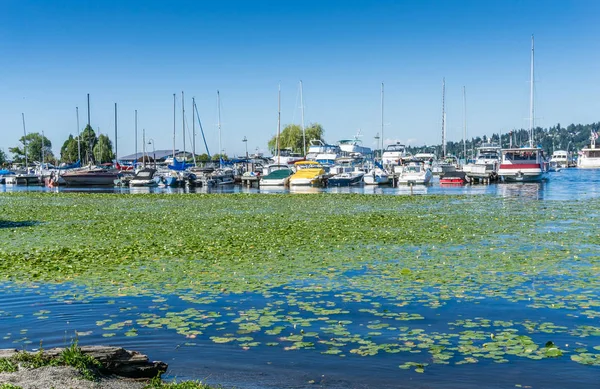 Uma Vista Barcos Atracados Uma Marina Seattle Lago Washington — Fotografia de Stock