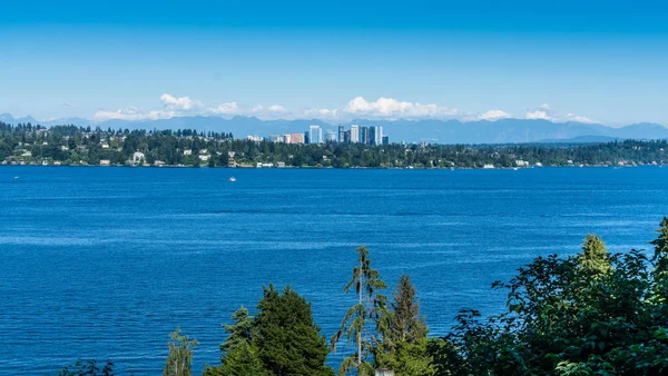 Över Skyline Bellevue Washington — Stockfoto