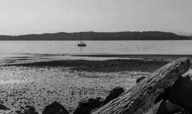 Des Moines, Washington Puget ses üzerinde bir bost yüzen.