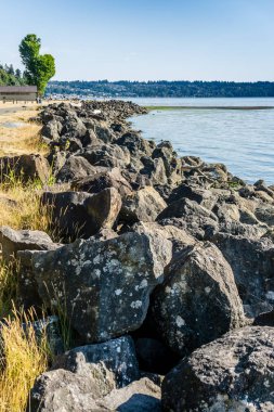 Tuzlu su State Park Washington eyaletinde şeridinin görünüm.