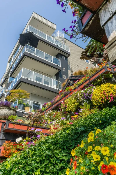 Une Variété Fleurs Fleurissent Côté Bâtiment Moderne Seattle Ouest Washington — Photo