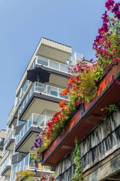 Une Variété Fleurs Fleurissent Côté Bâtiment Moderne Seattle Ouest Washington — Photo