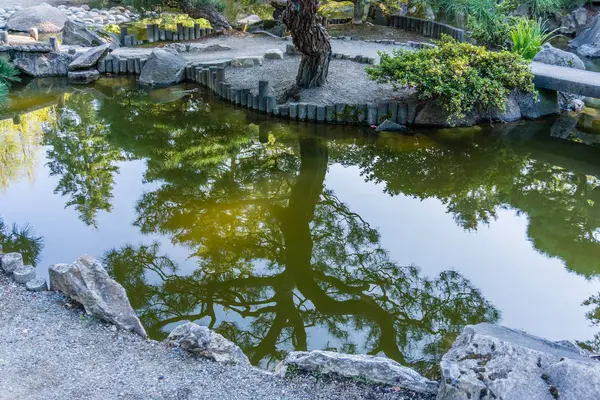Bir su birikintisi çevreleyen Japon Bahçesi Seatac, Washington'da yansıtır.