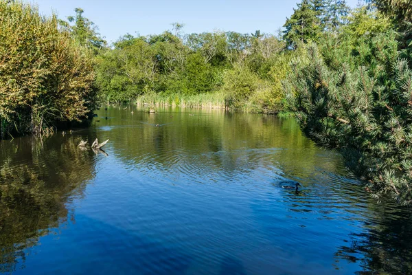 Una Vista Estanque Final Del Día Normandy Park Washington — Foto de Stock