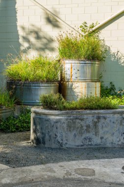 Dev metal yetiştiricilerinin Seatac, Washington'da bir görünümünü.