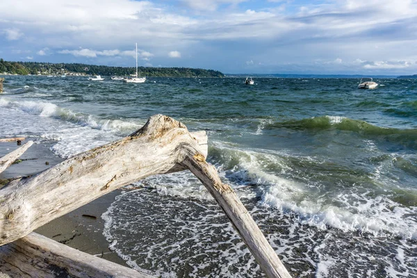 Vlny Konec Podél Pobřeží Naplaveného Dříví Popředí Normandii Park Washington — Stock fotografie
