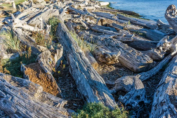 Stosy Driftwood Linii Brzegu Normandii Park Waszyngton — Zdjęcie stockowe