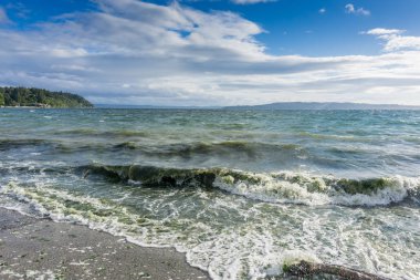 Koyu yeşil yosun Normandy Park, Washington bolluğu nedeniyle sudur.
