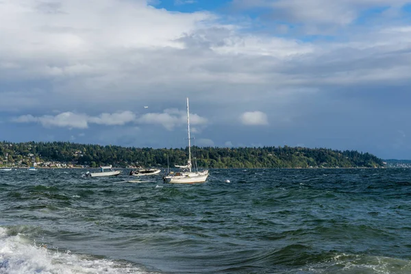 Tekneler demirli rüzgarlı bir günde üç ağaç noktasında Burien, Washington.