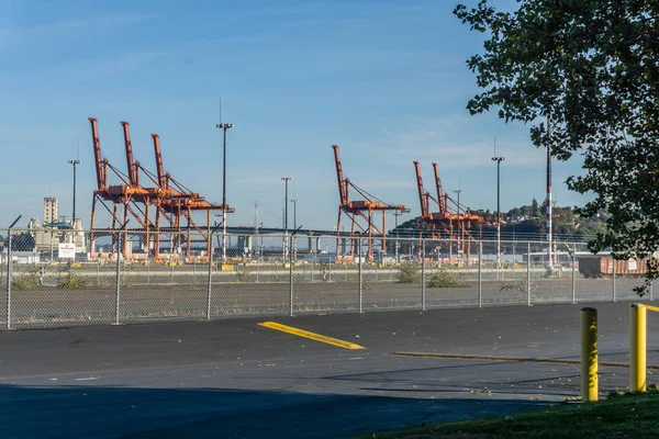 View Orange Cranes Port Seattle — Stock Photo, Image