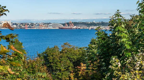Una Vista Sul Porto Seattle — Foto Stock
